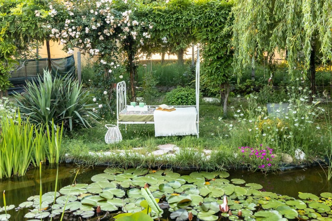 Baricella Garden Loft Bed & Breakfast エクステリア 写真